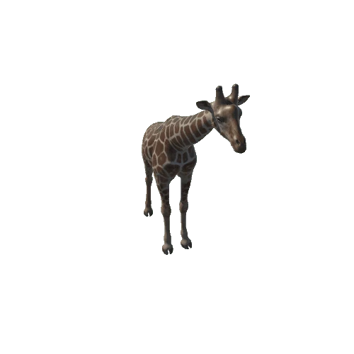 Giraffe_M_GrowMesh