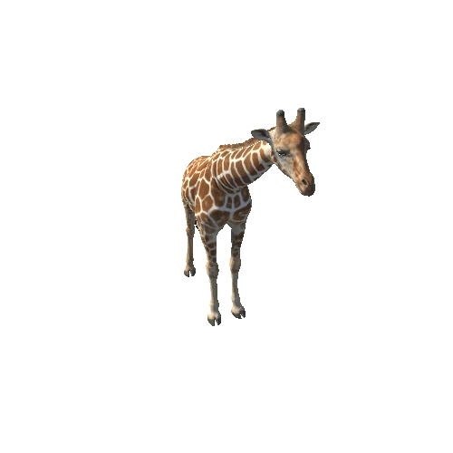 Giraffe_M_Prefab