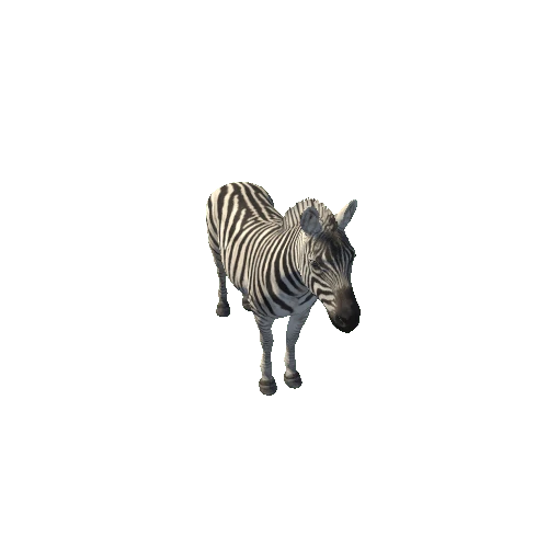 Zebra_M_Prefab