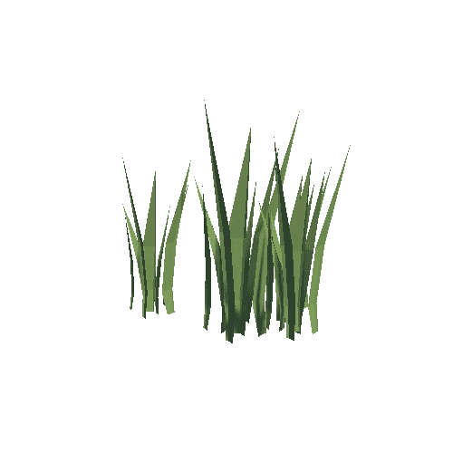 plant-grass-02.poly