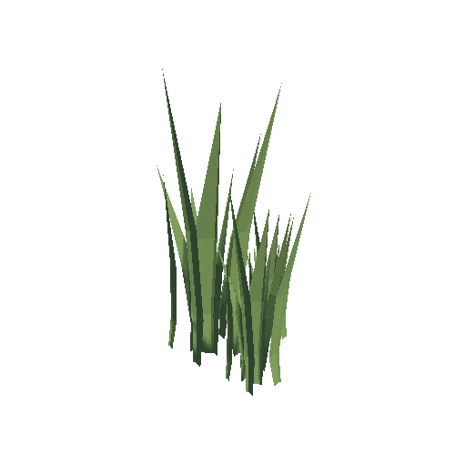 plant-grass-03.poly