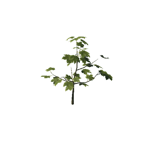 Maple_bush2_prefab