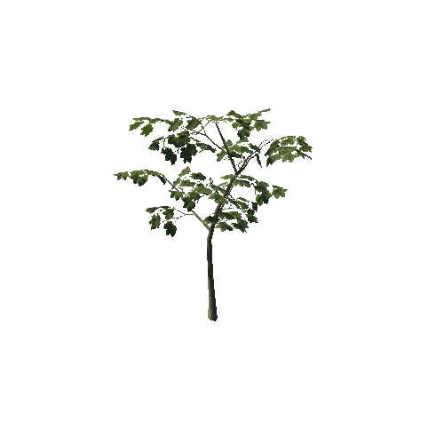 Maple_bush3_prefab