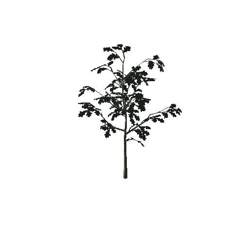 Oak_bush2_prefab