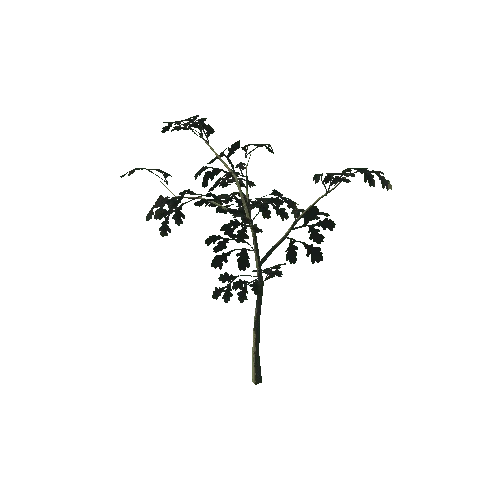 Oak_bush3_prefab