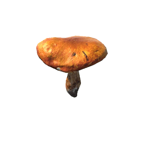 mushroom_2_1_prefab