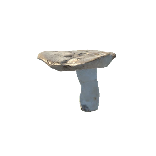 mushroom_3_1_prefab