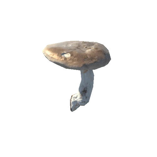 mushroom_3_2_prefab