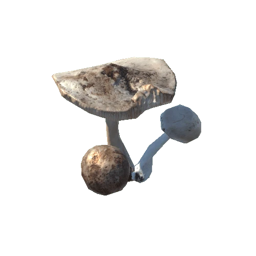 mushroom_3_3_prefab