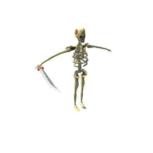 Skeleton3