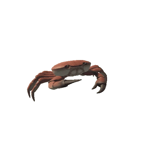 crab_idle