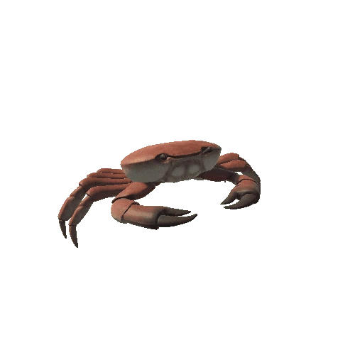 crab_model