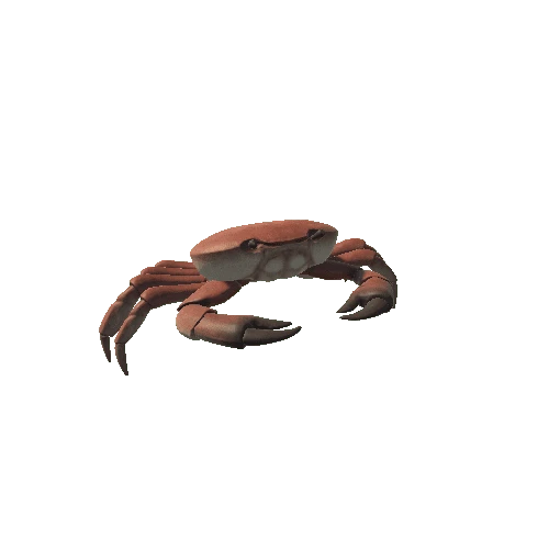 crab_rig