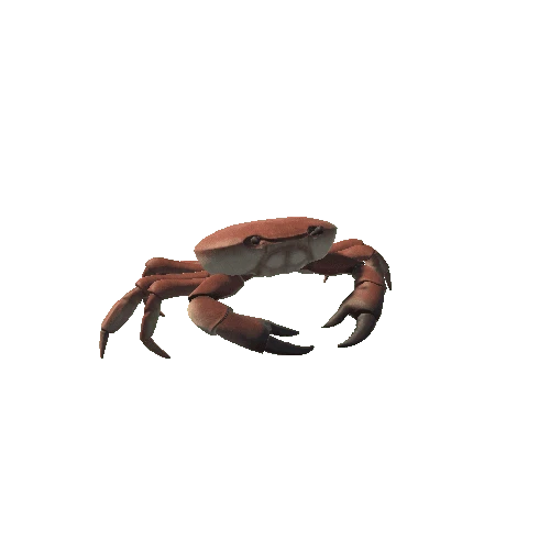 crab_walk_R