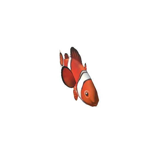 Clownfish_01