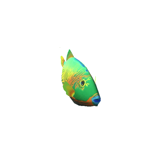 Triggerfish_02