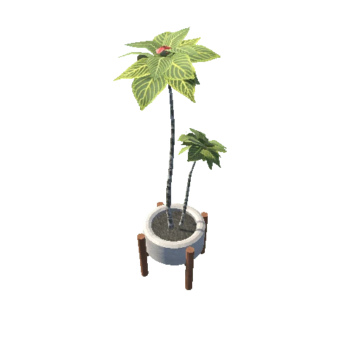 plant25