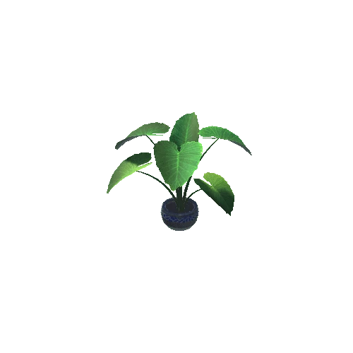 plant3