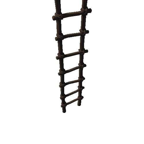 Ladder_02