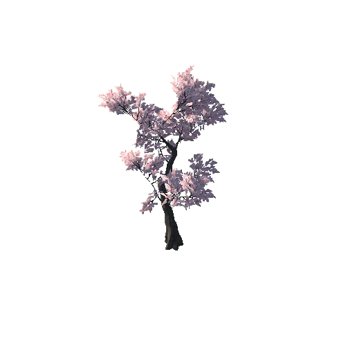 SakuraTree_F