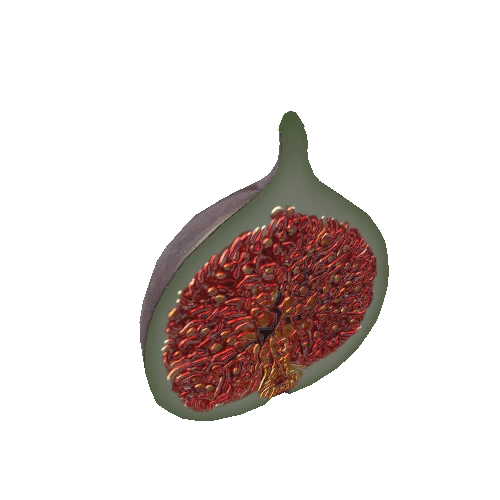 fig_cut