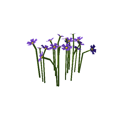 Flowers_A_Purple