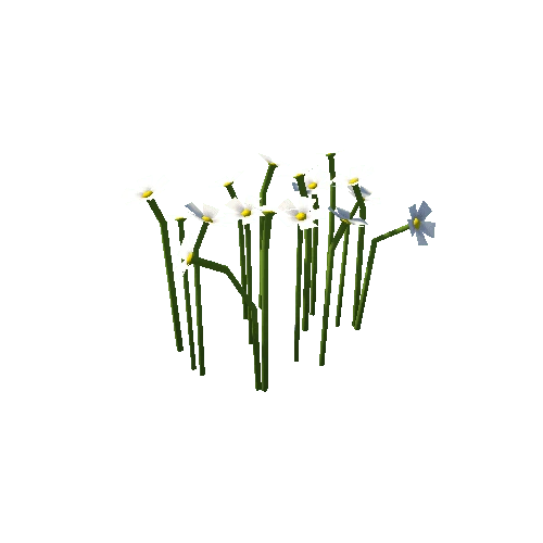 Flowers_A_White