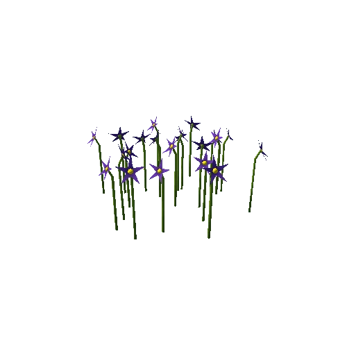 Flowers_B_Purple