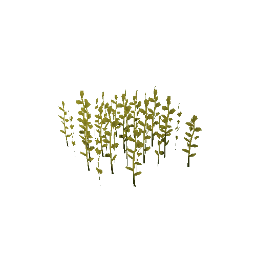 Grass_C_Yellow