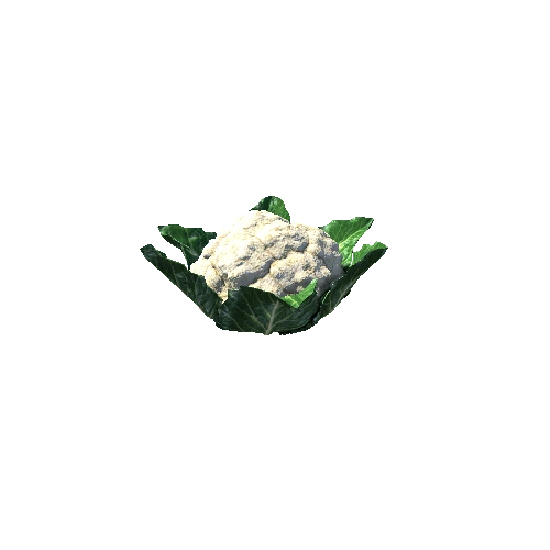 cauliflower