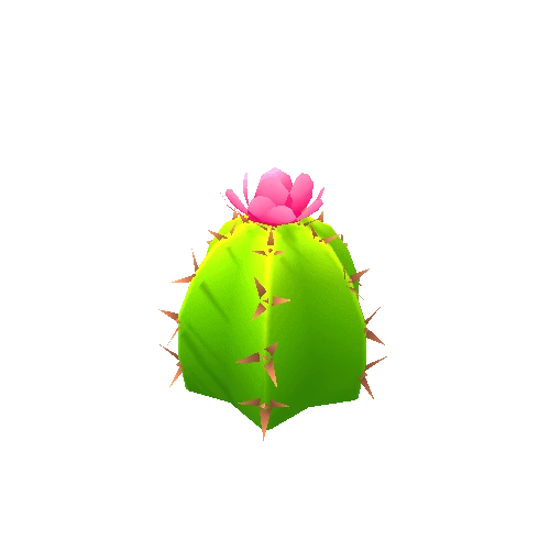 Cactus_01