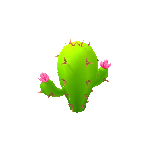 Cactus_02