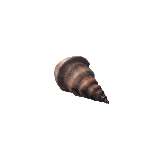 Shell1