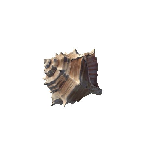 Shell4