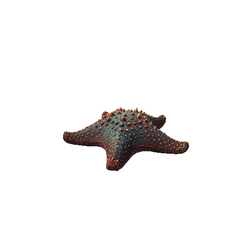 Starfish_1