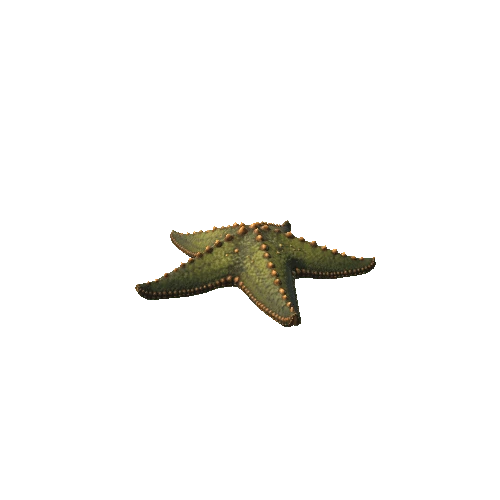 Starfish_2