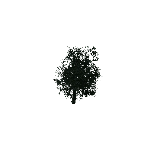 Tree_01