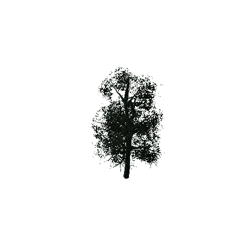 Tree_02