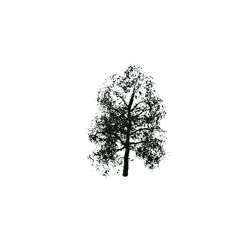 Tree_04