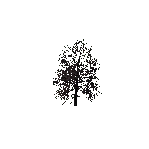 Tree_04_Autumn