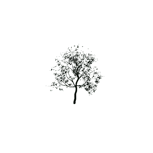 Tree_05