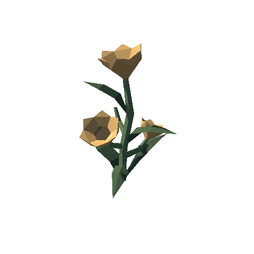 Plant_01_04