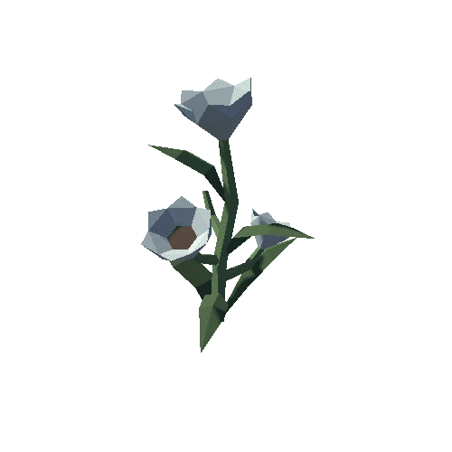 Plant_01_05