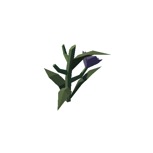 Plant_01_Cut_02