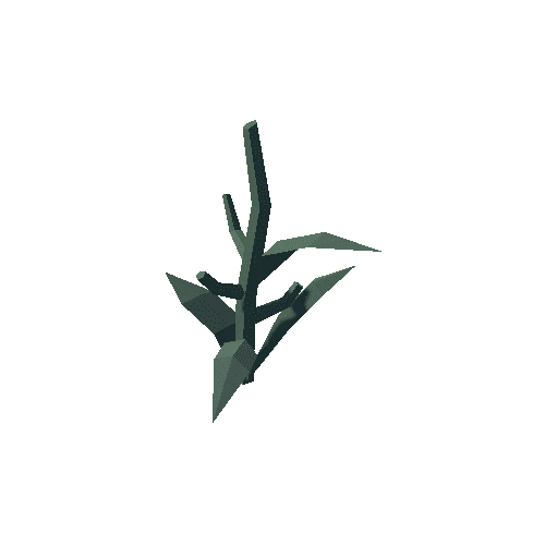 Plant_01_Gathered_03