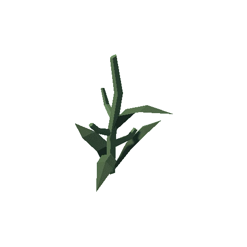 Plant_01_Gathered_04