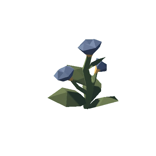 Plant_02_01