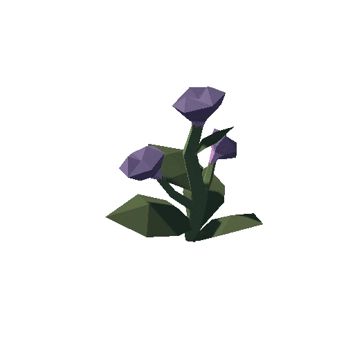 Plant_02_02