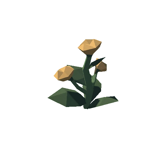 Plant_02_04