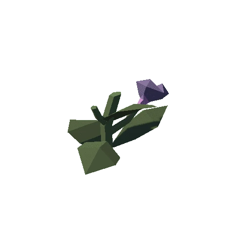 Plant_02_Cut_02